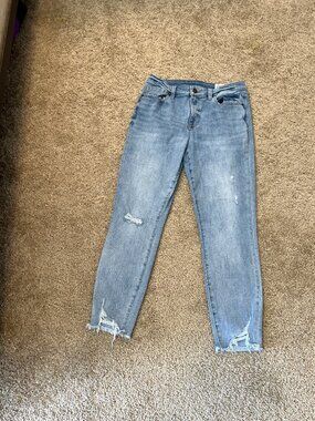 Cosmic Blue Love (Stitch Fix) Jeans